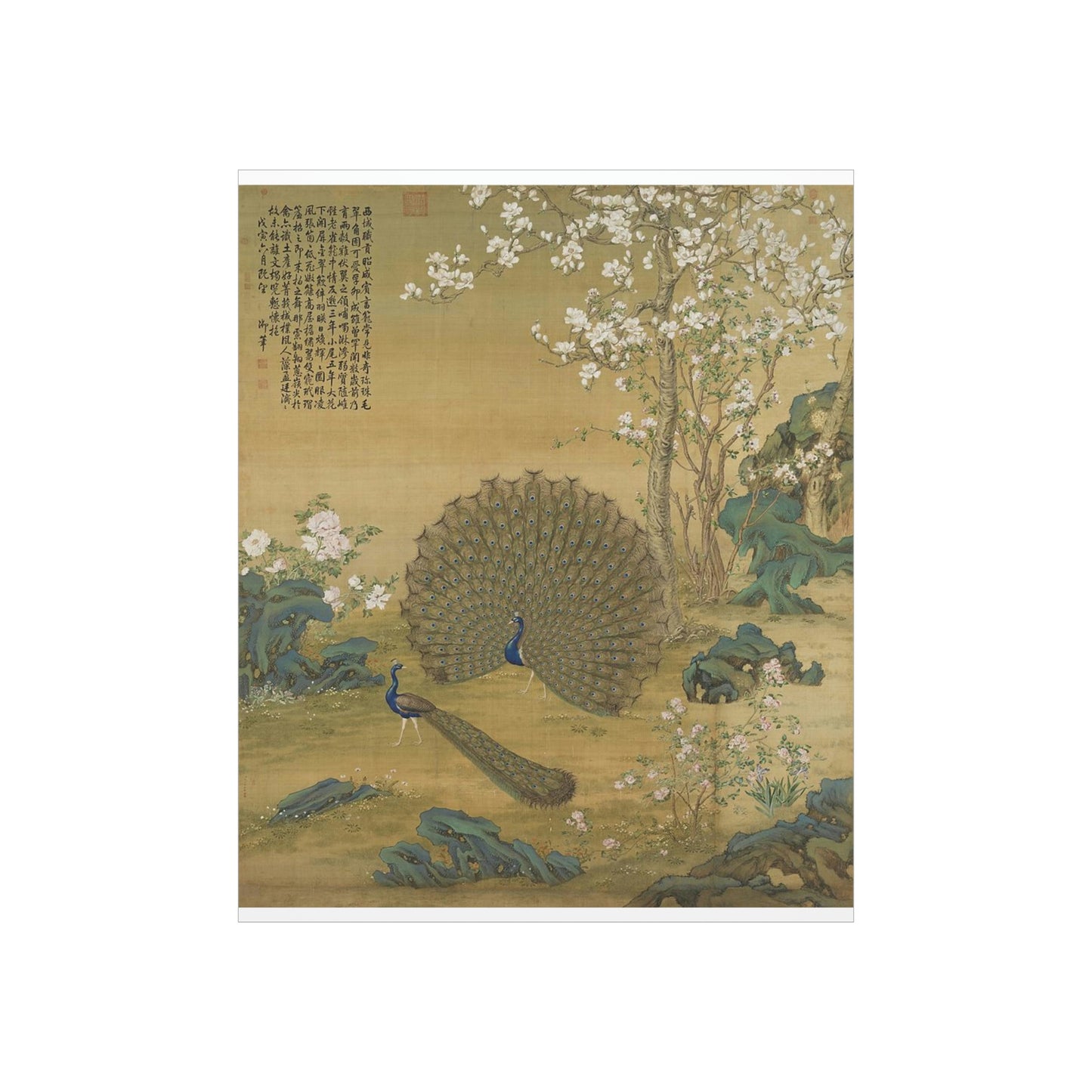 ODDONE Poster "Peacock Spreads its Tail" Giuseppe Castiglione (1688-1766) Chinese Palace Painting