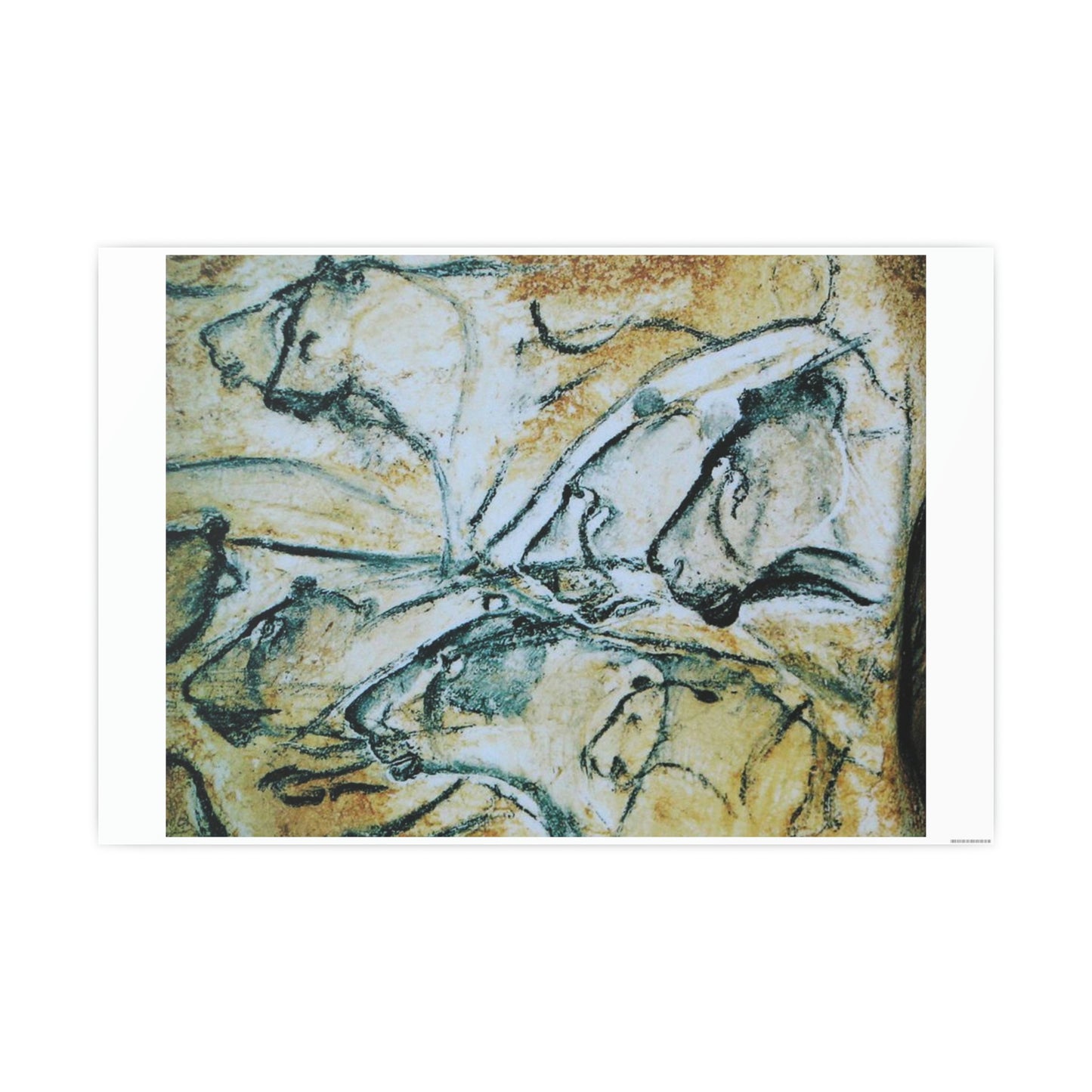 ODDONE Poster "Lion: Chauvet-Pont-d'Arc Cave" Grotte Chauvet-Pont d'Arc Paleolithic Europe Circa 32000 to 30000 Bce Rock Painting