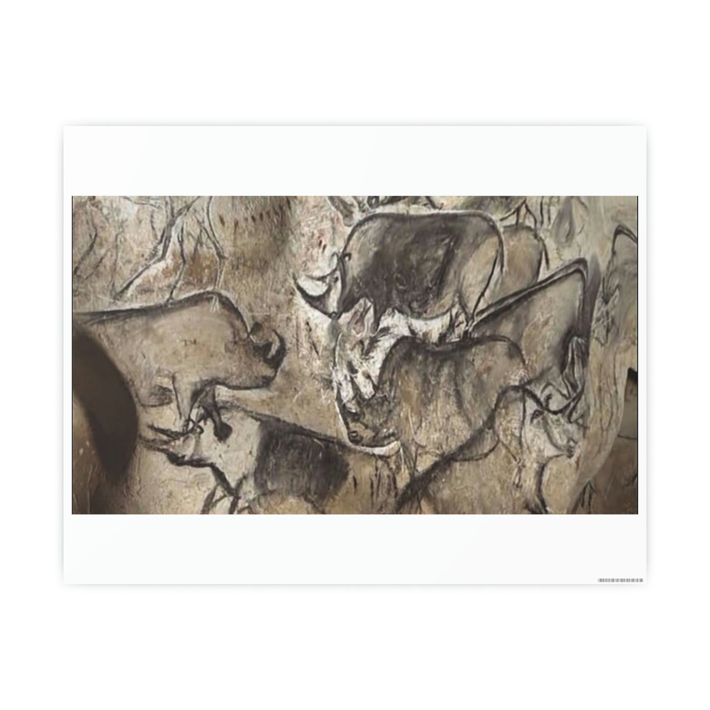 ODDONE Poster "Rhino: Chauvet-Pont-d'Arc Cave" Grotte Chauvet-Pont d'Arc Paleolithic Europe Circa 32000 to 30000 Bce Rock Painting