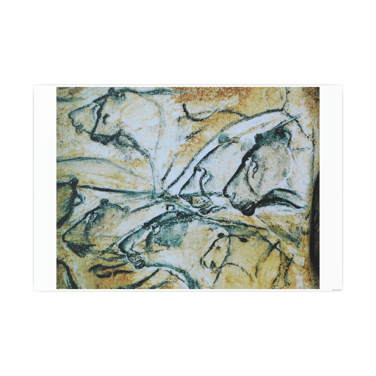 ODDONE Poster "Lion: Chauvet-Pont-d'Arc Cave" Grotte Chauvet-Pont d'Arc Paleolithic Europe Circa 32000 to 30000 Bce Rock Painting