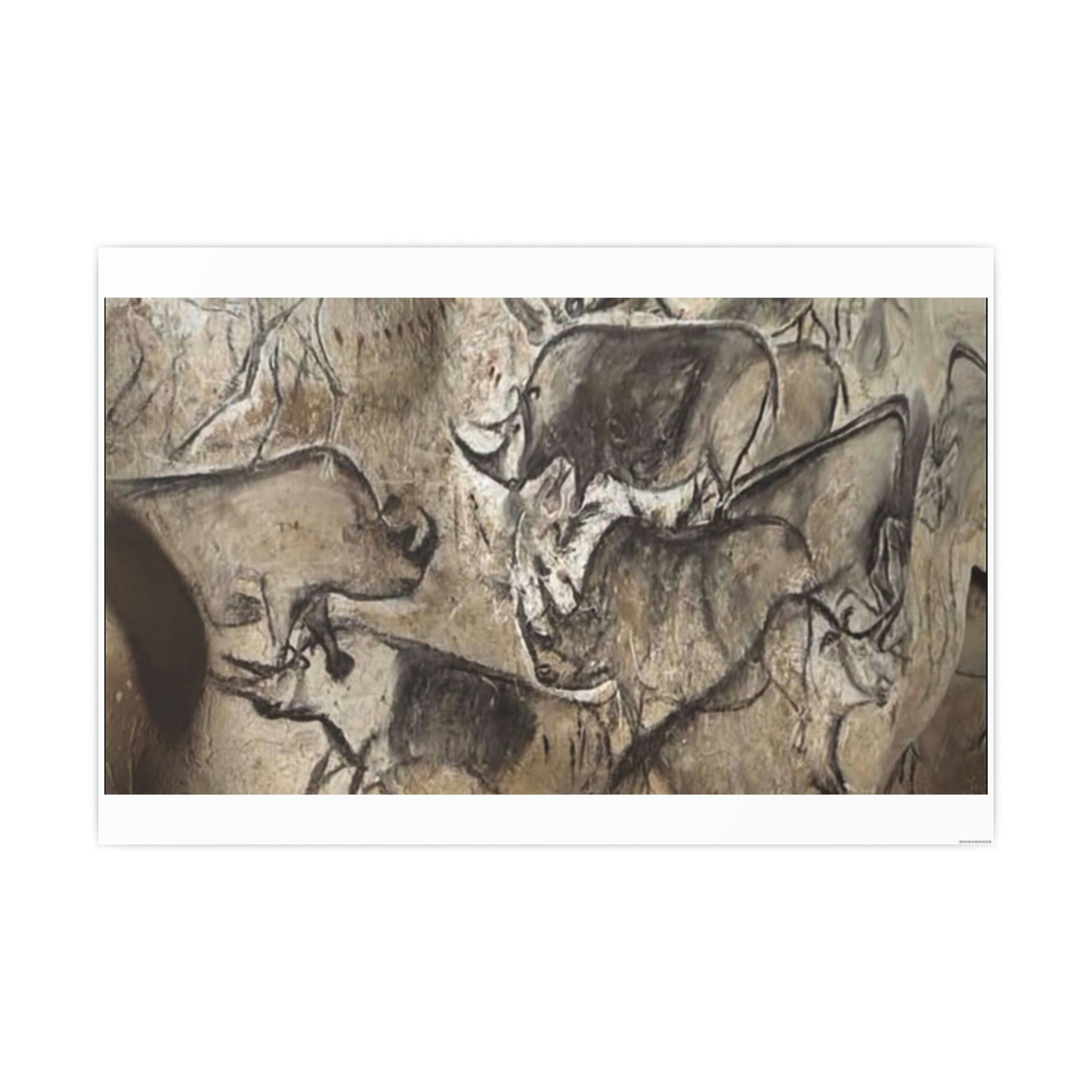 ODDONE Poster "Rhino: Chauvet-Pont-d'Arc Cave" Grotte Chauvet-Pont d'Arc Paleolithic Europe Circa 32000 to 30000 Bce Rock Painting