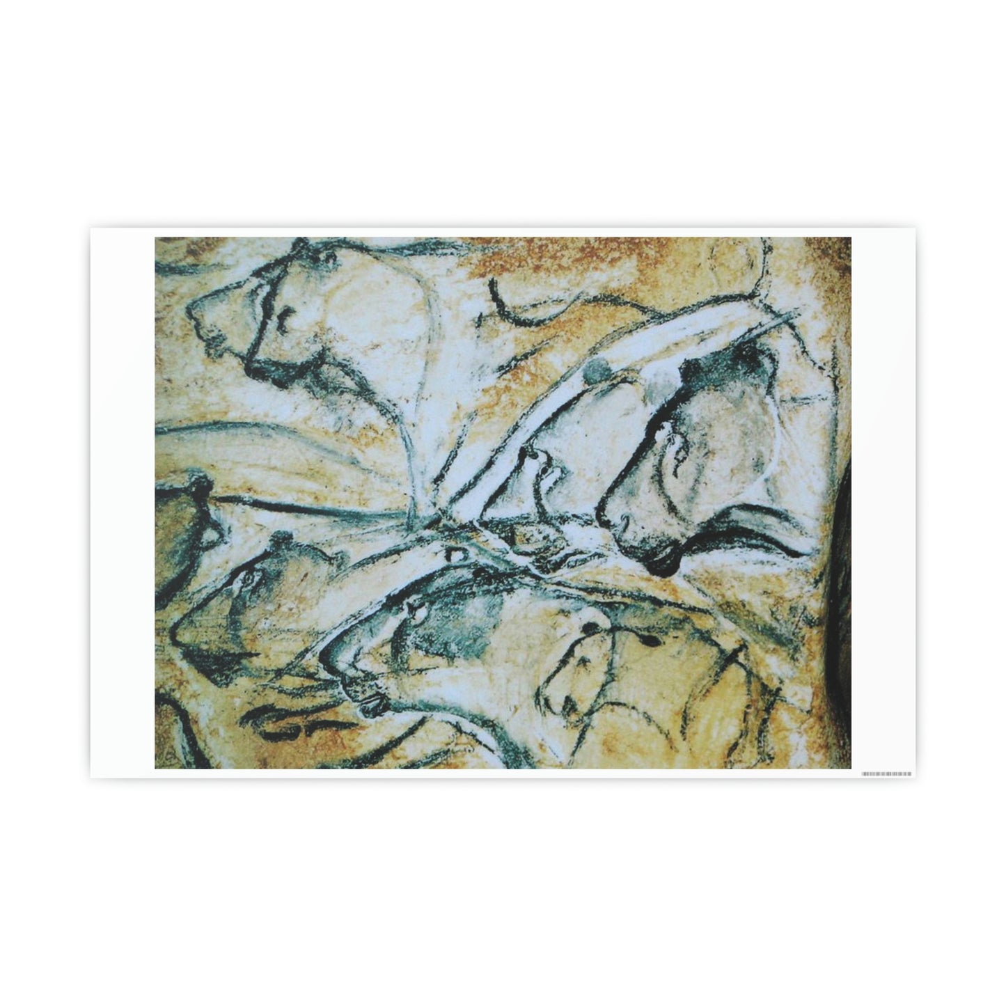 ODDONE Poster "Lion: Chauvet-Pont-d'Arc Cave" Grotte Chauvet-Pont d'Arc Paleolithic Europe Circa 32000 to 30000 Bce Rock Painting