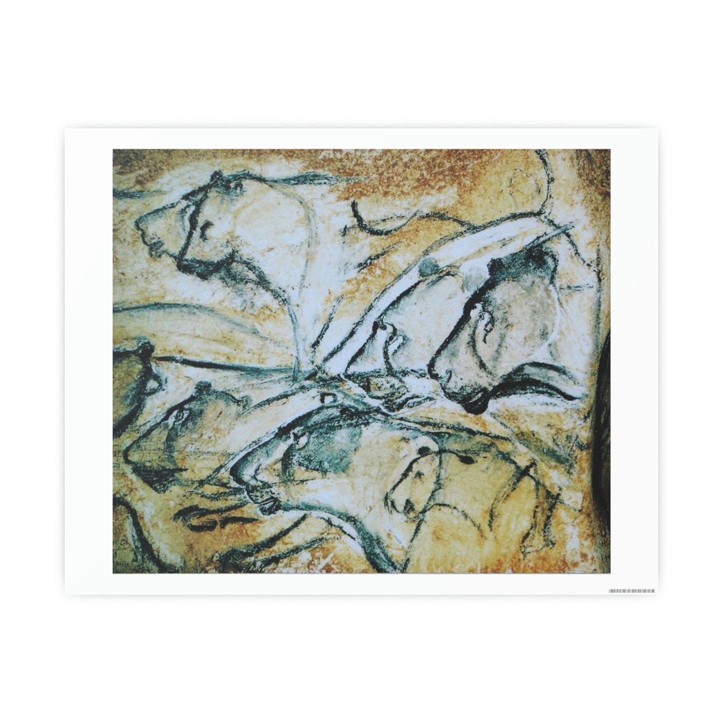 ODDONE Poster "Lion: Chauvet-Pont-d'Arc Cave" Grotte Chauvet-Pont d'Arc Paleolithic Europe Circa 32000 to 30000 Bce Rock Painting