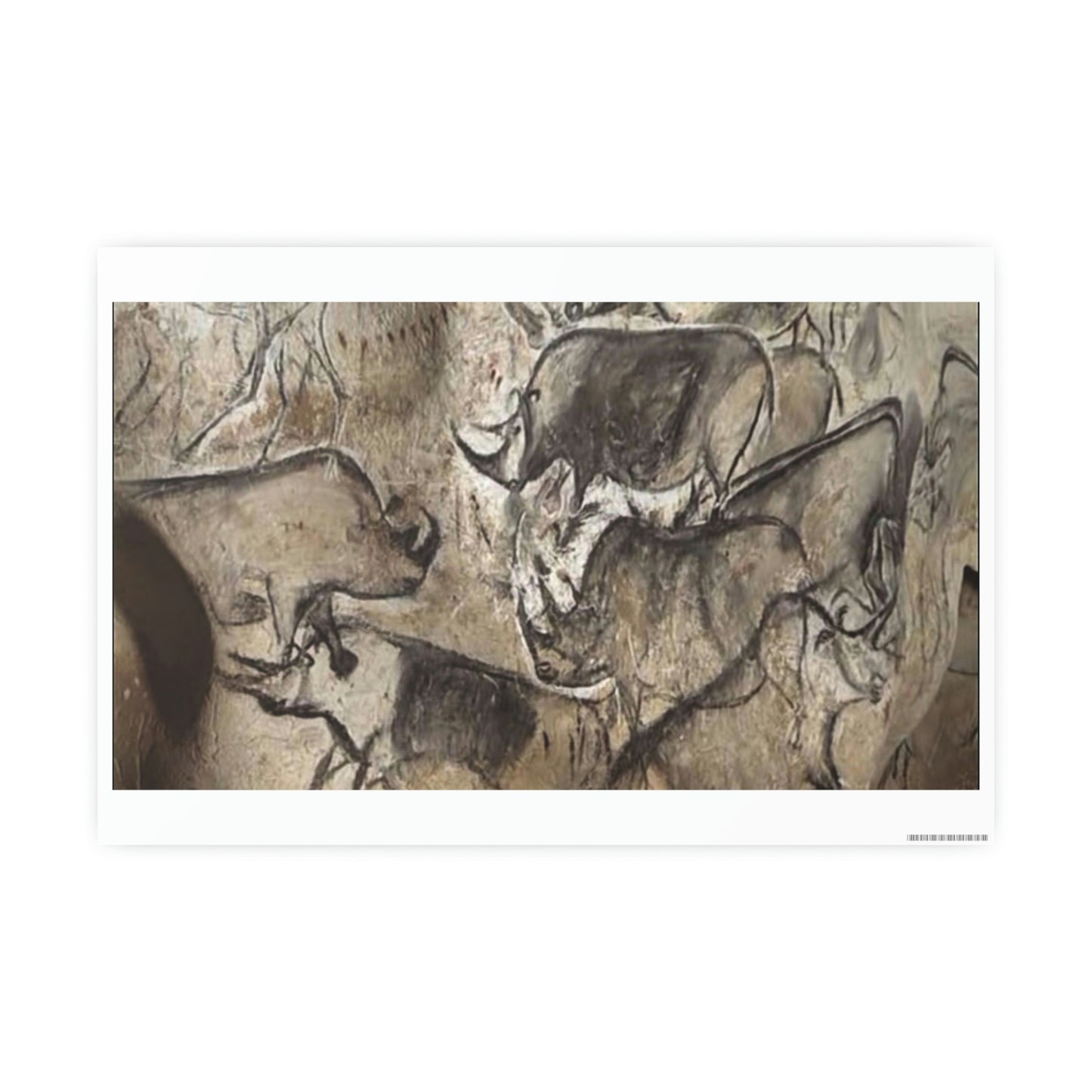 ODDONE Poster "Rhino: Chauvet-Pont-d'Arc Cave" Grotte Chauvet-Pont d'Arc Paleolithic Europe Circa 32000 to 30000 Bce Rock Painting