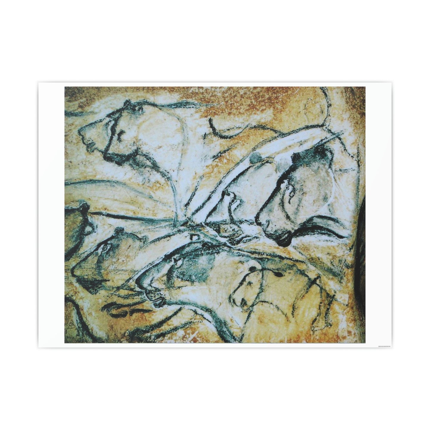 ODDONE Poster "Lion: Chauvet-Pont-d'Arc Cave" Grotte Chauvet-Pont d'Arc Paleolithic Europe Circa 32000 to 30000 Bce Rock Painting